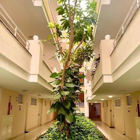 公寓 Casa Hugo - Ocean View, Quiet Pool, Fibre Net, Gigantes